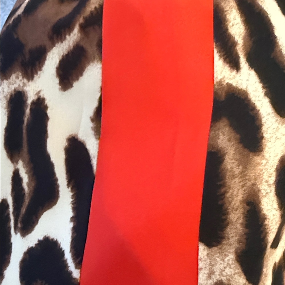 Leopard Print Maxi Skirt with Red Trim - Picture 4 of 4